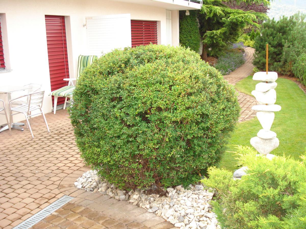 סייר Ferienwohnung Lenggenhager Plantzette מראה חיצוני תמונה